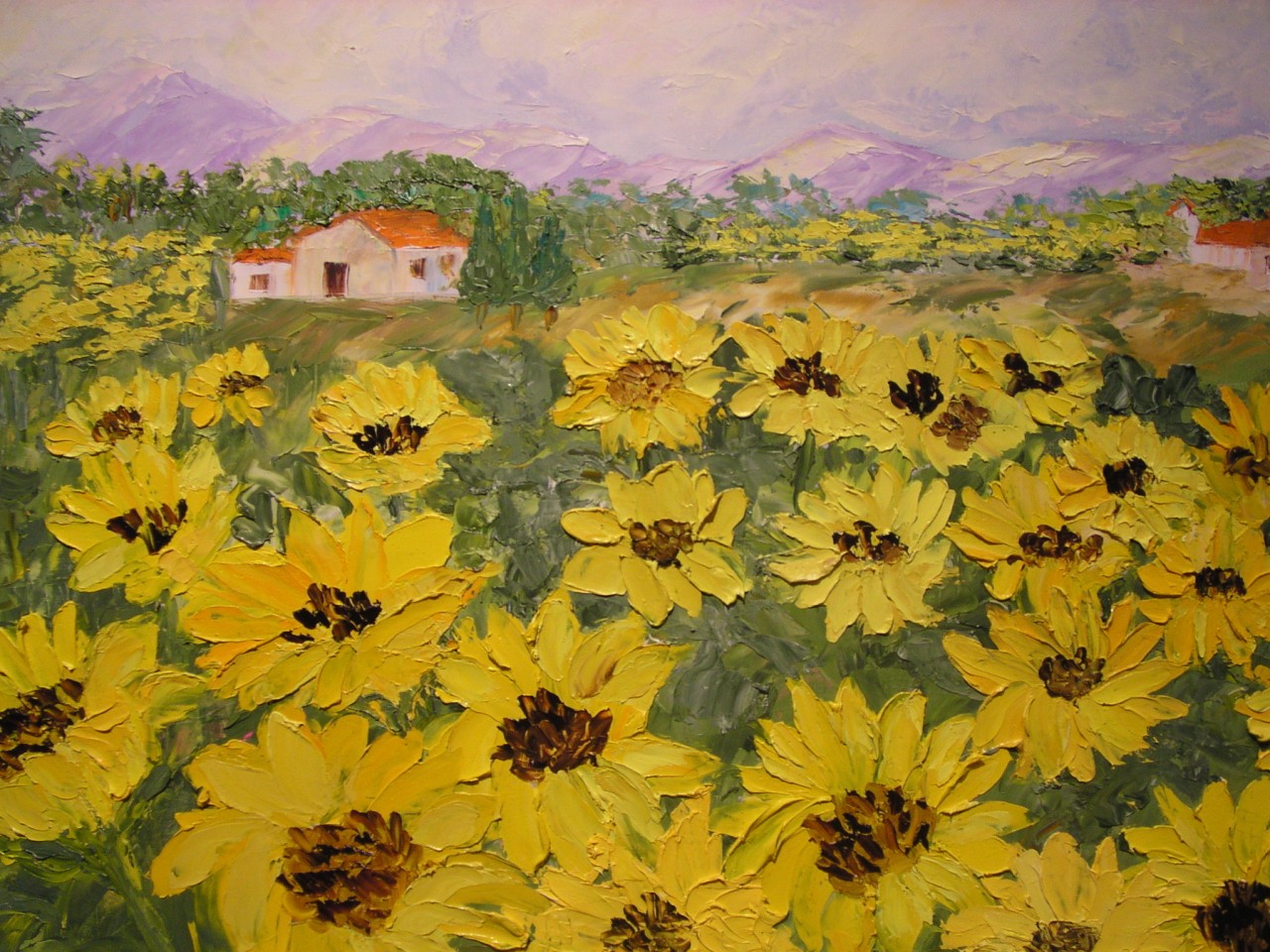 Tuscan Sunflowers